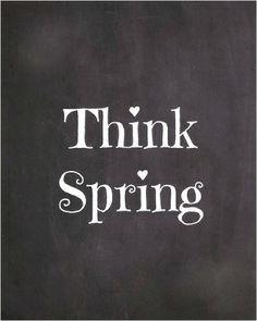 Blog voorjaar foto 3