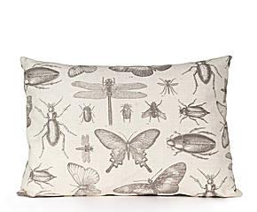 kussen vlinders insecten