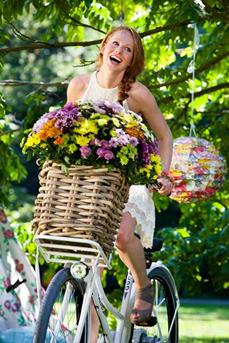 zomerchrysant