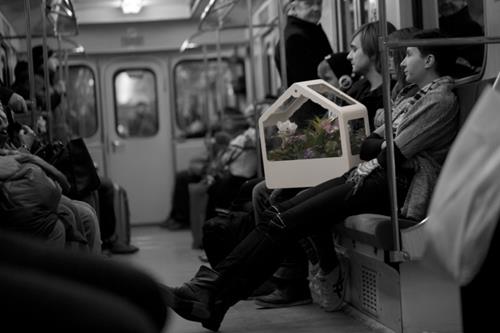 woontrends 2014 ikea