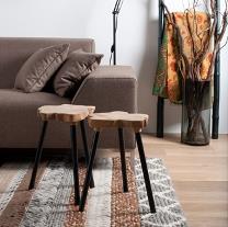 haal de natuur in huis