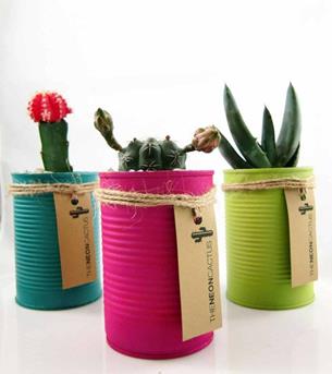 etsy DIY cactus in a can