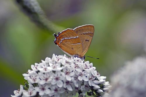 02_Natuurmonumenten