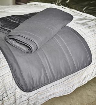 03_PH123261_GULLREGN_bedloper