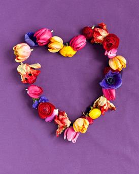 209861 Springflowering Bulbs WEB