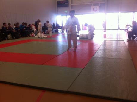 judo