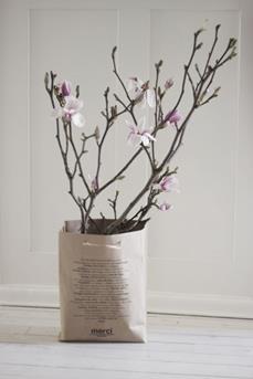 tak magnolias
