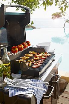 Grillen2012