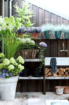 tuintips 2015