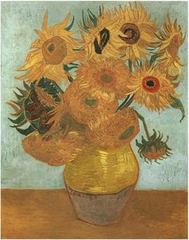 zonnebloemen rembrandt