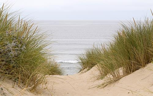 tuindoek hollandse kust 