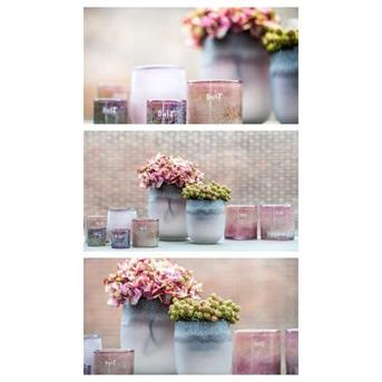 dutz collectie