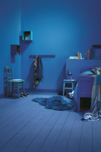 kleurbedenktijd blauw histor