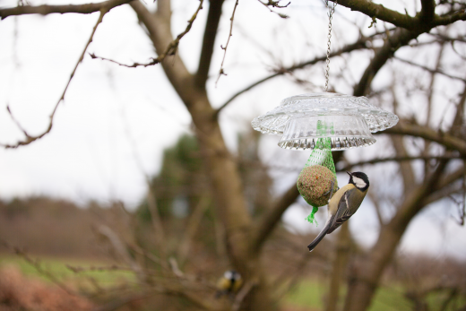 vintage-feedingbell-ruitjesglas