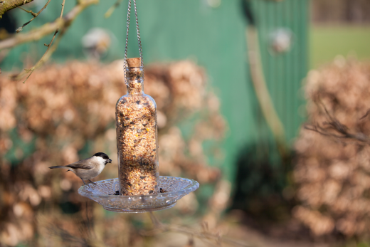 vintage-voederfles-ruitjesglas