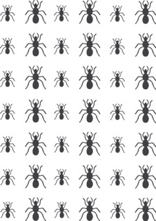 Saartjeprum_NL_SP-Muursticker-Padvinder-Mier-grijs