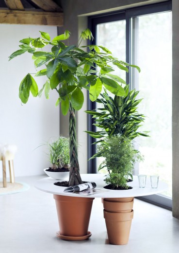planten tafel