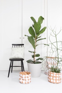 Roomblush_COM_beeldsteil_roomblush_1336