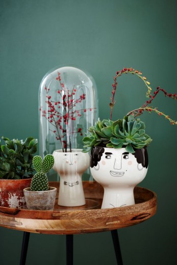 cactus buiten de lijntjes