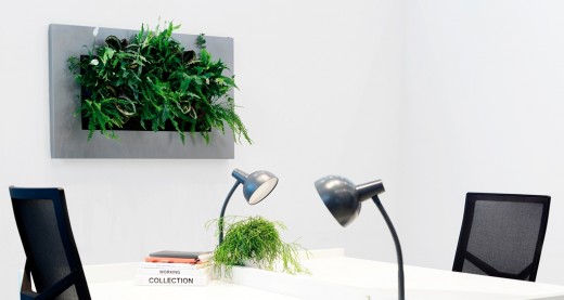 groen aan de wand