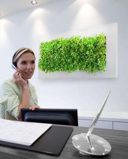 groen aan de wand