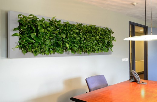 groen aan de wand