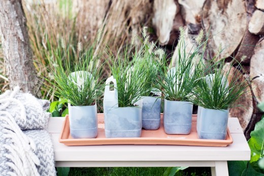 Sierlijke tuinborstels