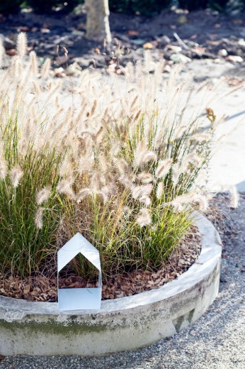 Sierlijke tuinborstels