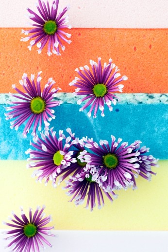chrysant2016-03 WEB