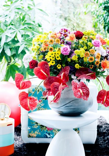 chrysant2016-06 WEB
