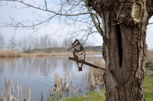 vogels specht metaal
