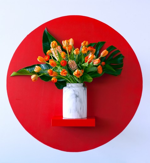 tulpen-rood