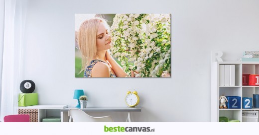 beste canvas
