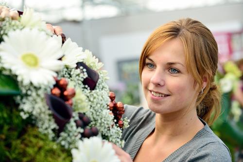 De kunst van schikken