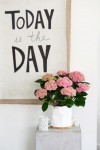 kamerhortensia