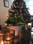 mijn kerstinterieur