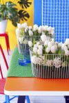 tulpen