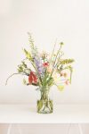 bloomon tulp