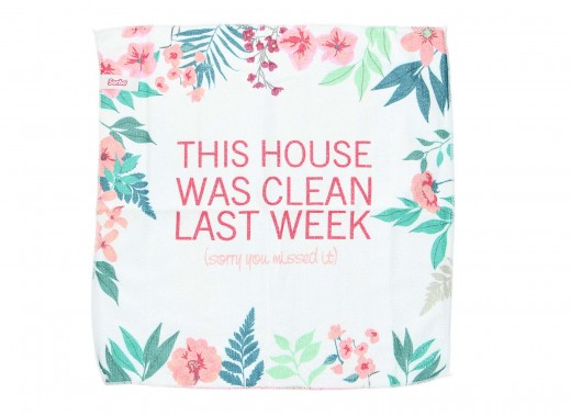 schoonmaken