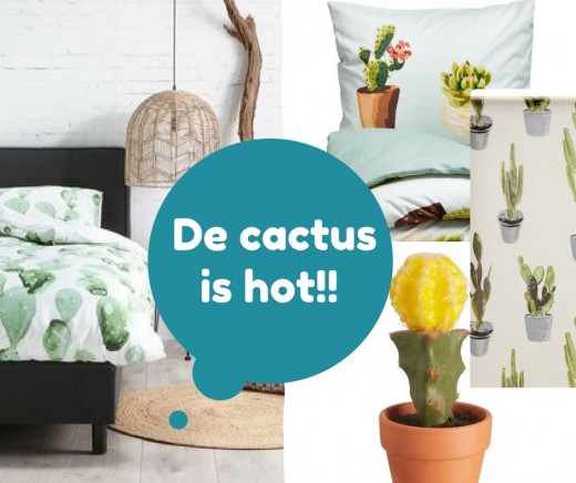 De cactus is hot