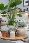 planten