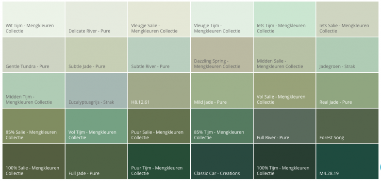 Overeenkomstig met leef ermee Vegetatie Hoe maak ik een groene slaapkamer? Welke kleur kies ik?