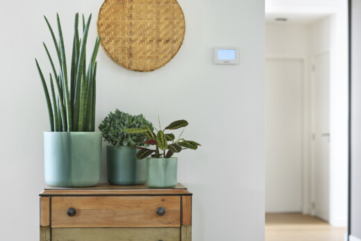 Groenste Grachten Pot