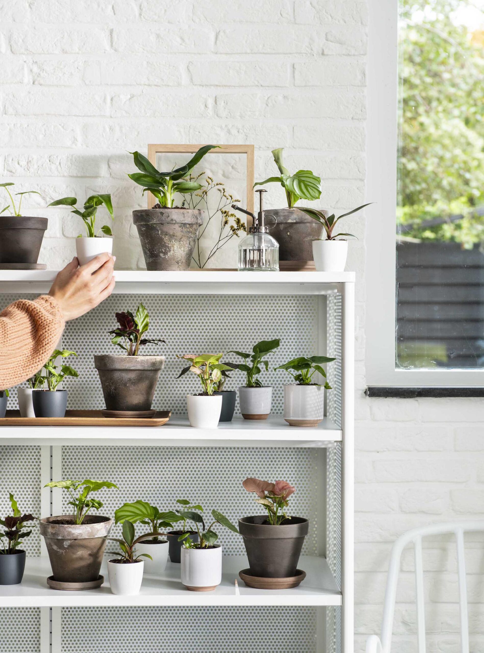 Intratuin online groene lessen. Maak je huis nog groener