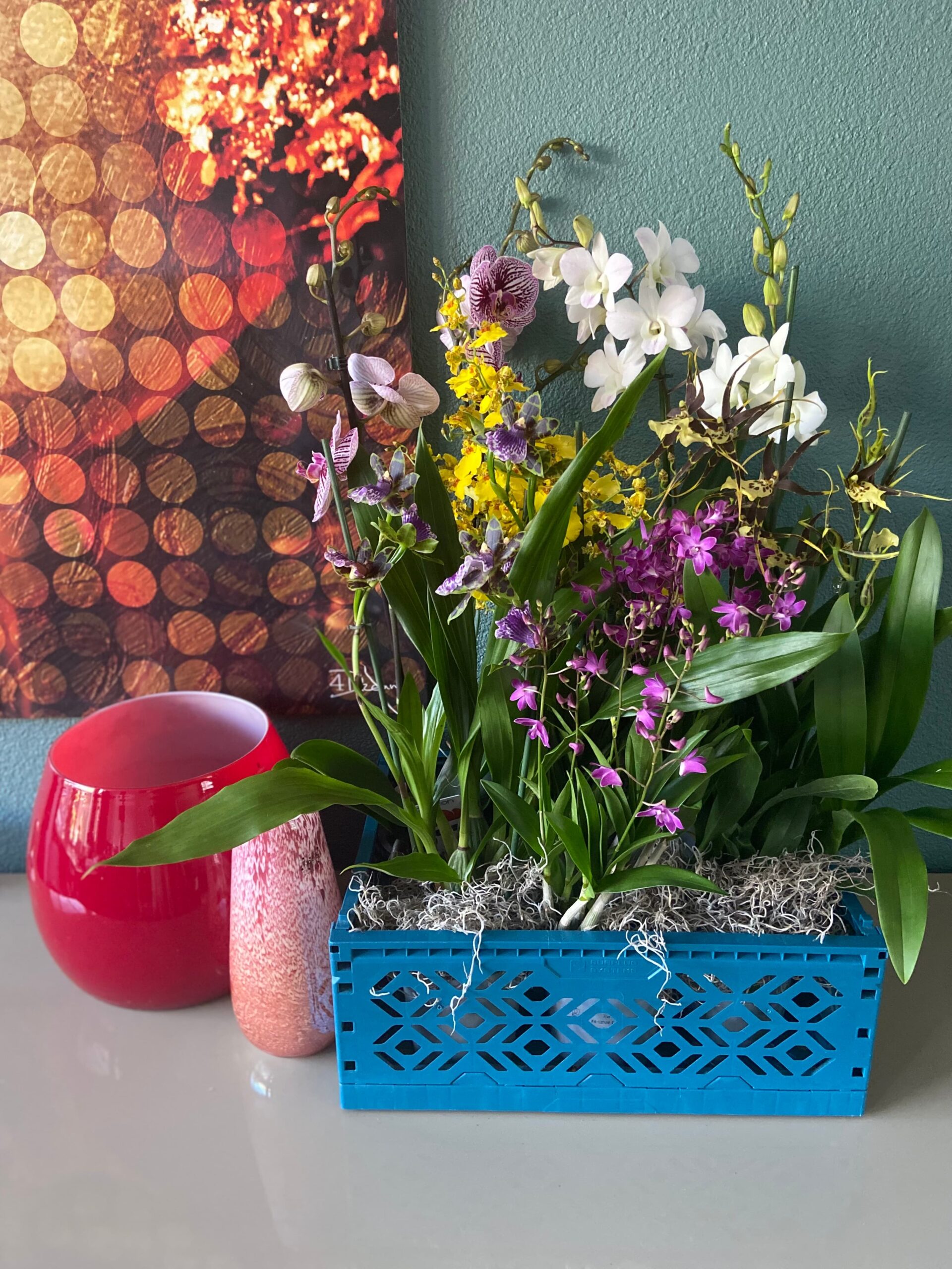 dag van de orchidee